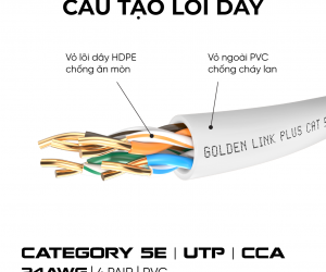 Cable LAN GOLDEN TAIWAN UTP CAT5E 305m Trắng (Nhôm mạ đồng, Made in China)